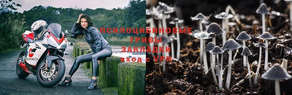 бутират Михайловск