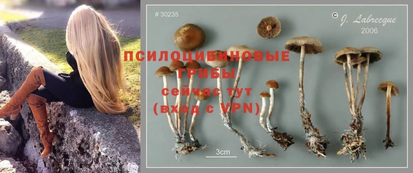 гидра Михайлов