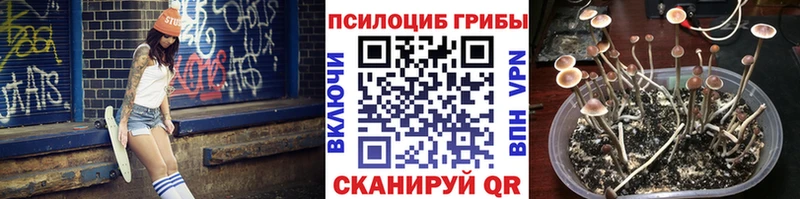 Галлюциногенные грибы Magic Shrooms  Новокубанск 